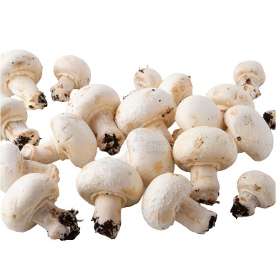 Шампиньоны свежие 500 г - купить в Медведске